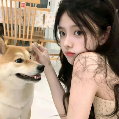 大案组